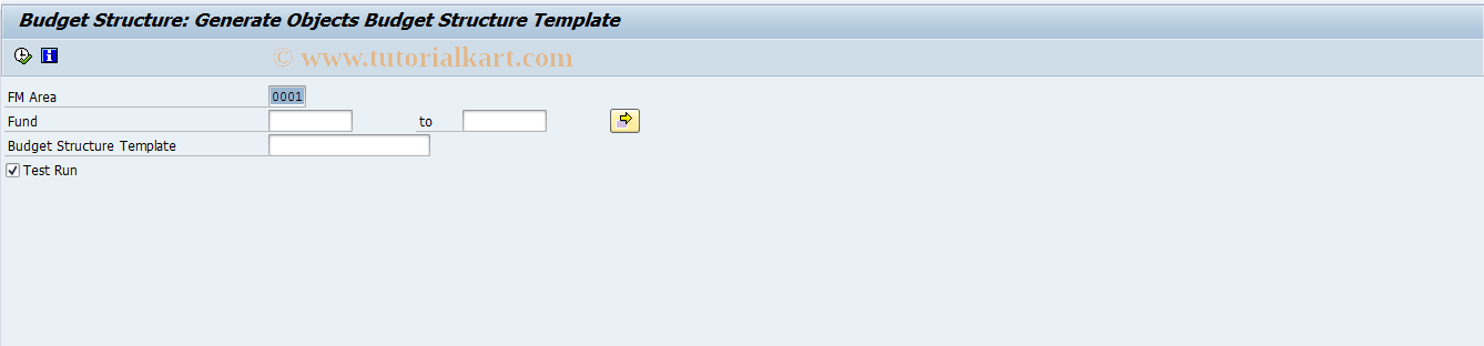 SAP TCode FMG5 - Generate BS Object from BS Template