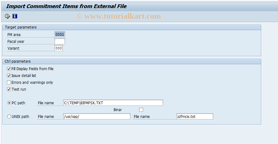 SAP TCode FMGY - Create Commitment Items via UNIX