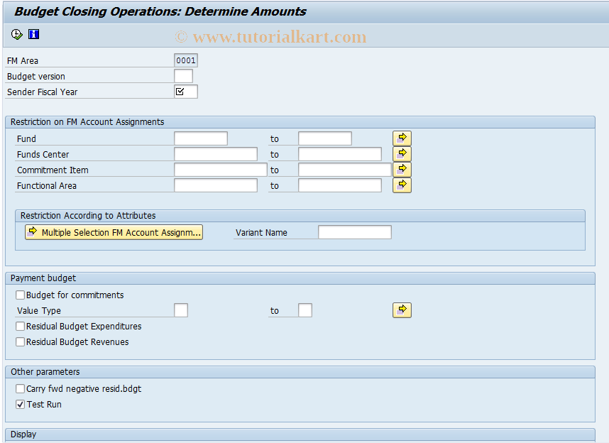 SAP TCode FMJB - Budget Year-End Closing: Determine