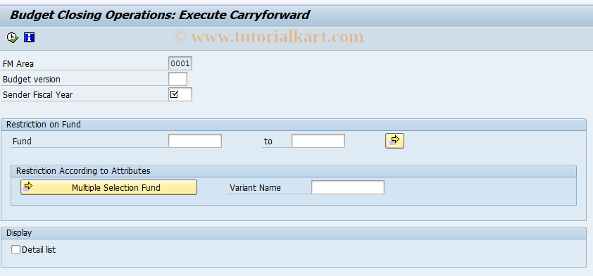 SAP TCode FMJC - Budget Year-End Closing: Carry Fwd