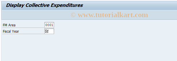 SAP TCode FMNS - Display CBA Rules