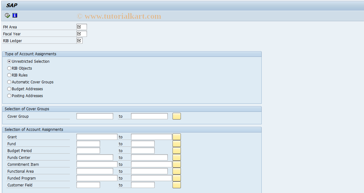 SAP TCode FMRBMON01 - Overview of RIB Values