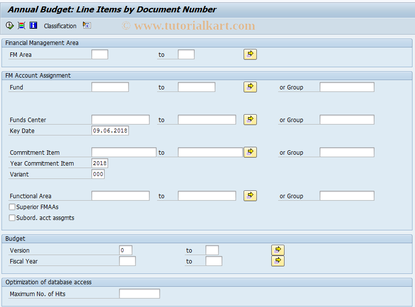 SAP TCode FMRY - Annual budget