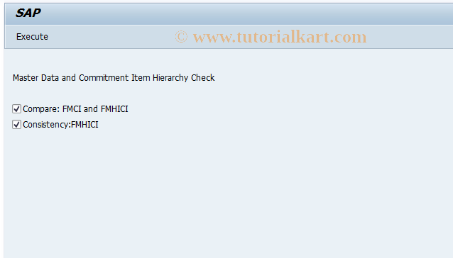 SAP TCode FMSK - Commitment Item Check