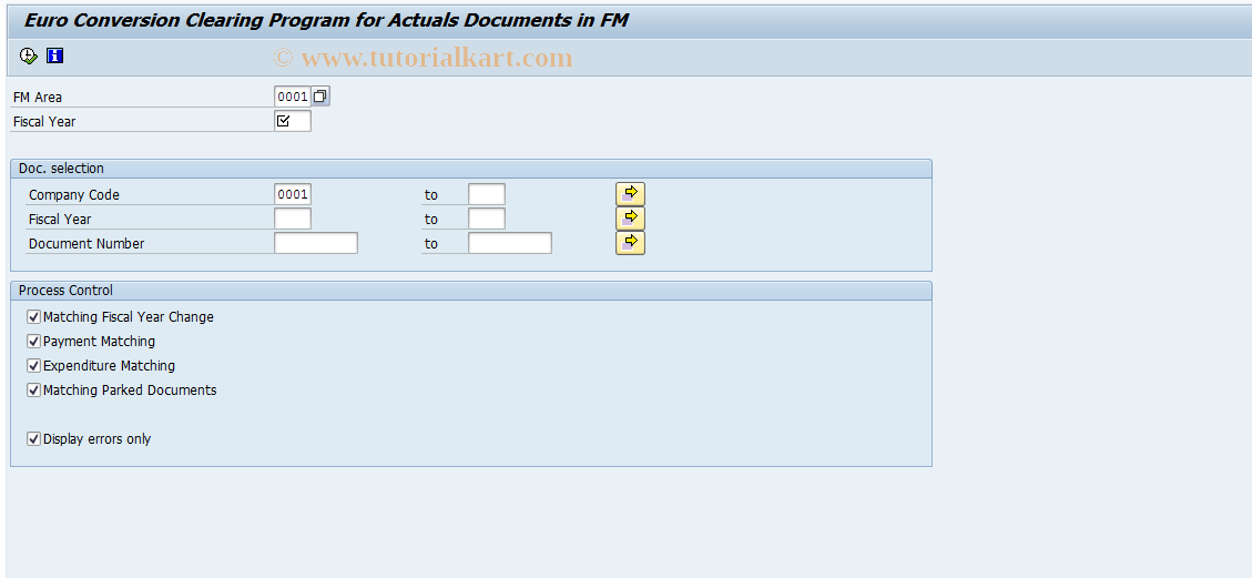 SAP TCode FM_EURO - Reconciliation After Euro Conversion