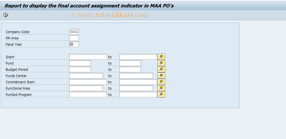 SAP TCode FM_FINAL_AA - Display the final AA indicator in PO