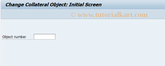 SAP TCode FNO2 - Change Object