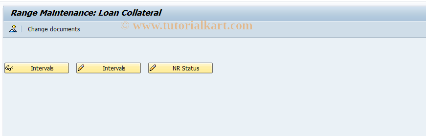 SAP TCode FNS1 - Collateral number range