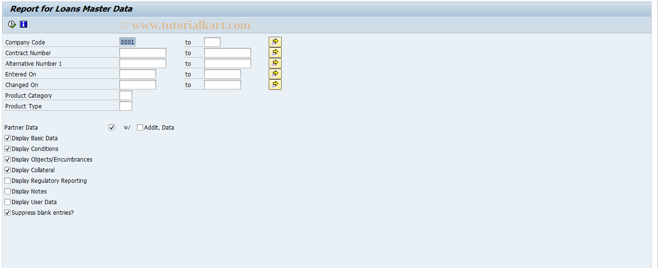 SAP TCode FNSB - Master data summary