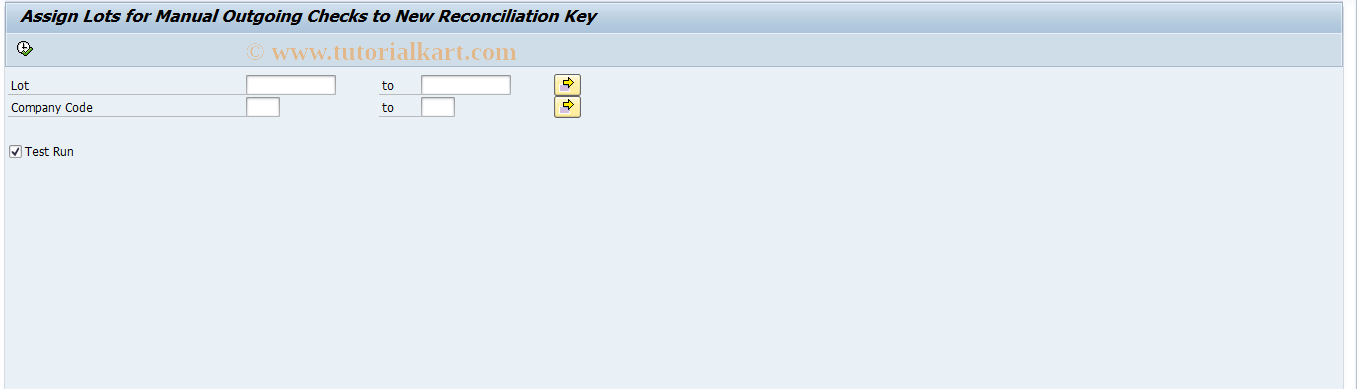 SAP TCode FP50FIK - Man. Check Lot: New Recon. Key