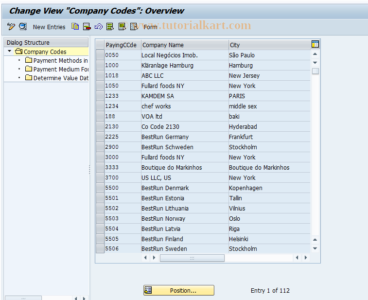 SAP TCode FQP4 - Company Code Details for Payment