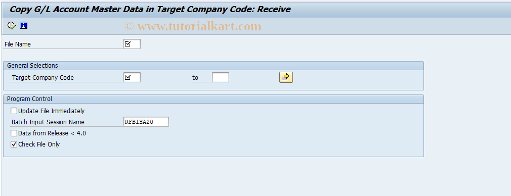 SAP TCode FS16 - Copy G/L account changes: Receive