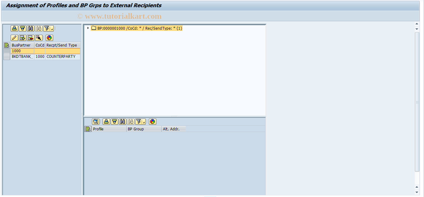 SAP TCode FTR_EXT_ASSIGN - Maintenance Profile & BPG ass. to External Rec