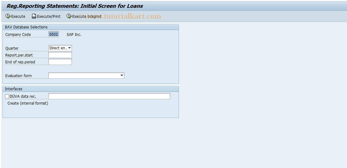 SAP TCode FZB5 - Statements