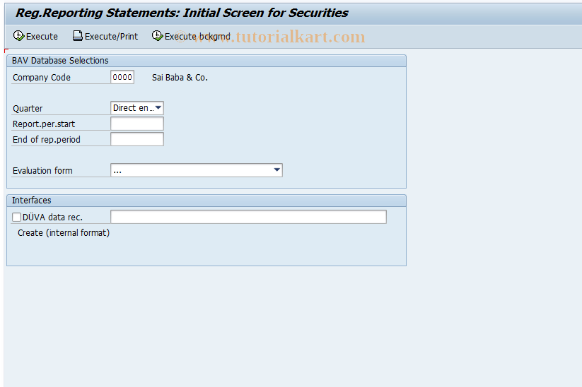 SAP TCode FZB6 - Control Parameters for BAV Statement