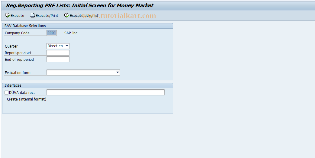 SAP TCode FZB7 - Statements