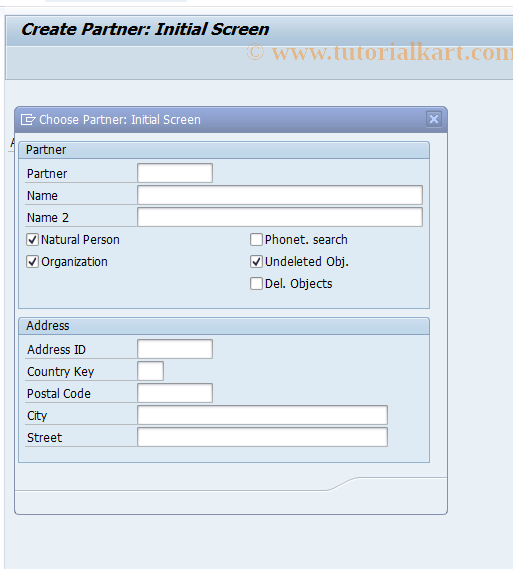 SAP TCode FZP1 - Create Natural Person