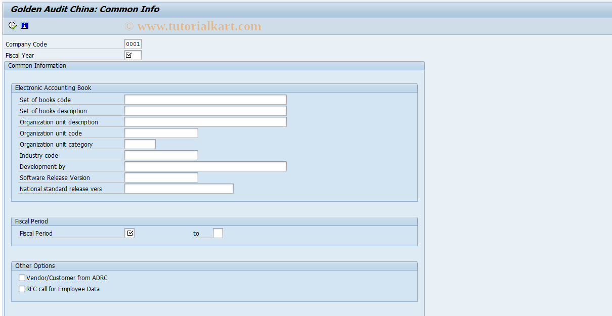 SAP TCode GACN_COMMON - Golden Audit: Common Info. (China)