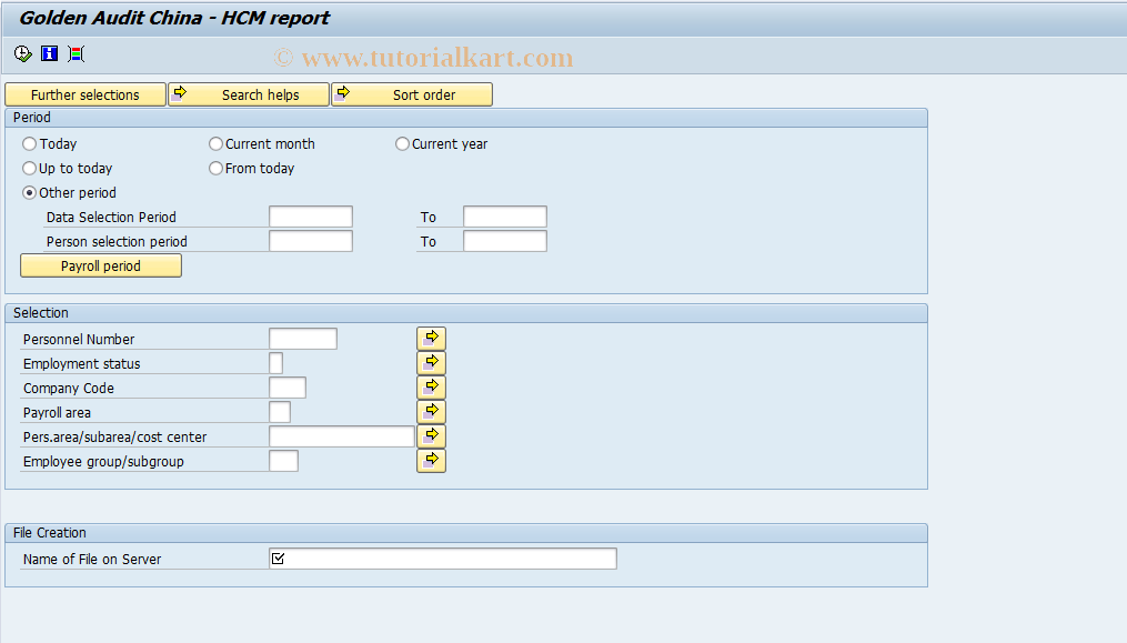 SAP TCode GA_CN_PY - Golden Audit China - Payroll report