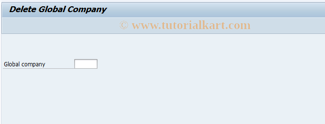 SAP TCode GCG5 - FI-SL Customizing: Delete Companies