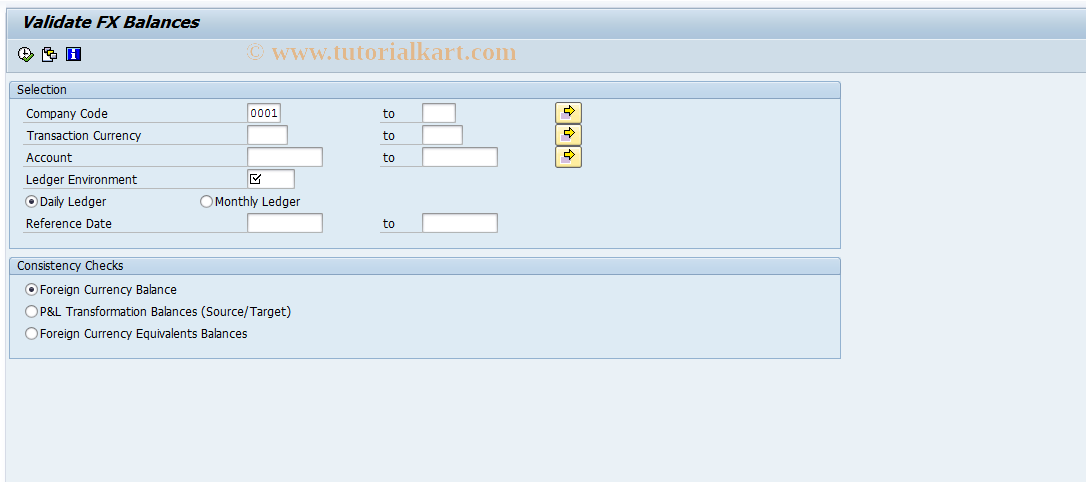 SAP TCode GMCA_CHK_BAL - Validate FX Balances