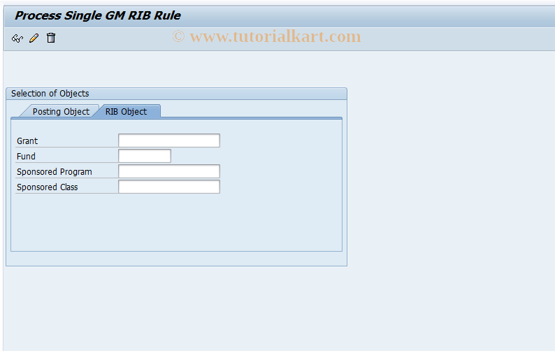 SAP TCode GMRBRULE - Edit Single Rule for RIB Object