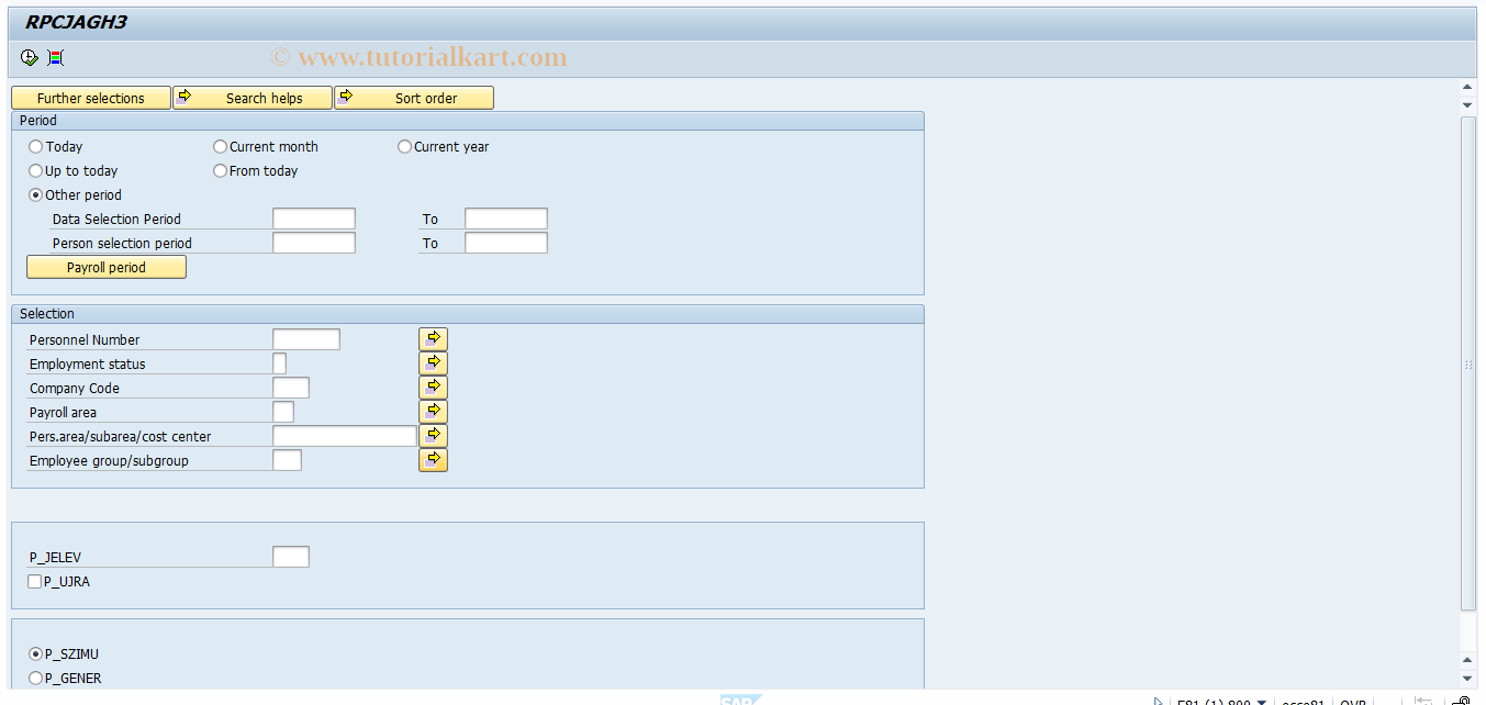 SAP TCode HRPBSHU_JG - Monthly reports - status gen. - 2004