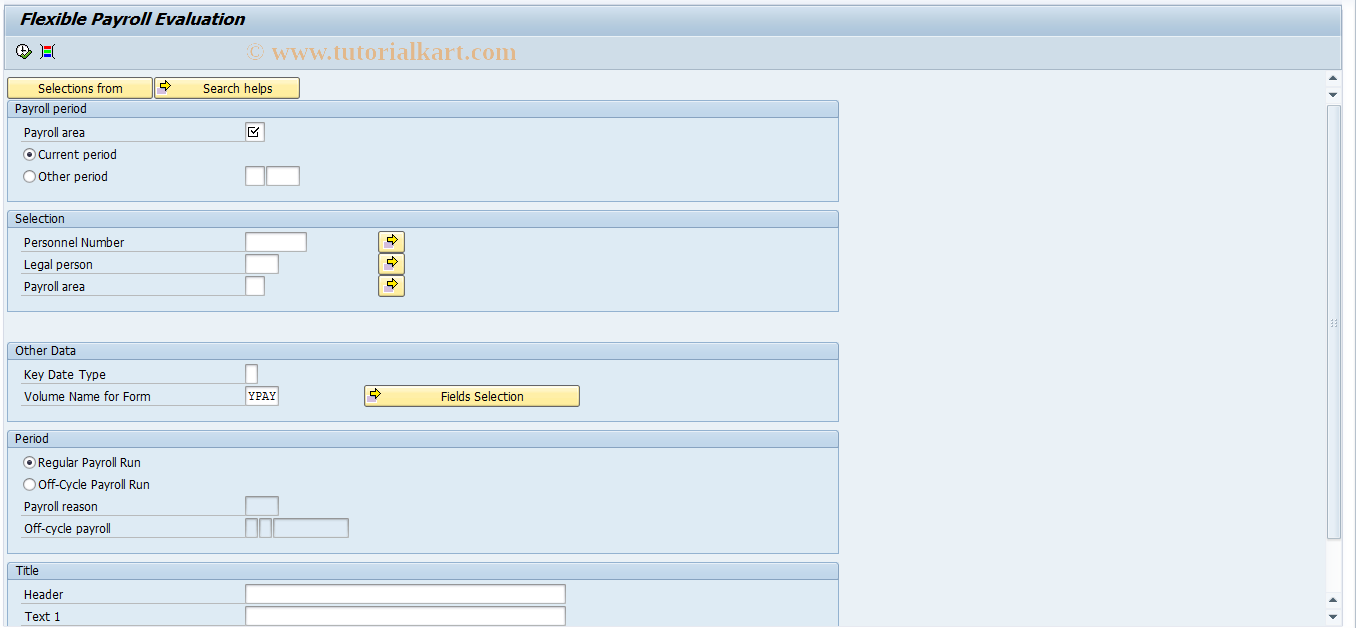 SAP TCode HRULICO0 - Flexible Payroll Evaluation