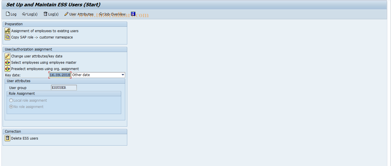 SAP TCode HRUSER - Set Up and Maintain ESS Users