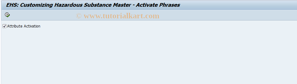 SAP TCode HSMR04 - EHS: Activate Phrases