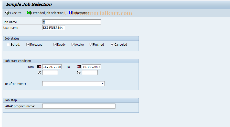 SAP TCode IC37 - SM37 for Incremental Conversion Jobs