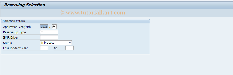 SAP TCode ICLIBNRDIRECT - Selection: Direct IBNR Reserving
