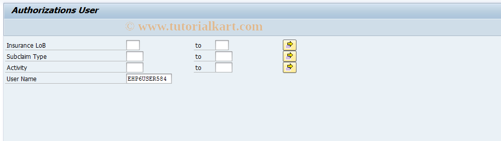 SAP TCode ICLPAYAUTH - Display of Payment Authorizations