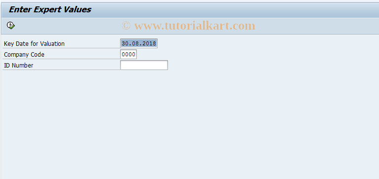 SAP TCode IDCFM_FRIM_EXPERT - Manual Input of Expert Values
