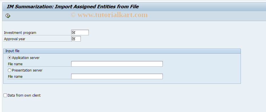 SAP TCode IMB6 - IM Summariz: Entities from file