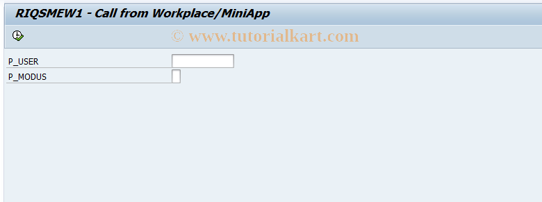 SAP TCode IQS8WP - IQS8 - Call from Workplace/MiniApp