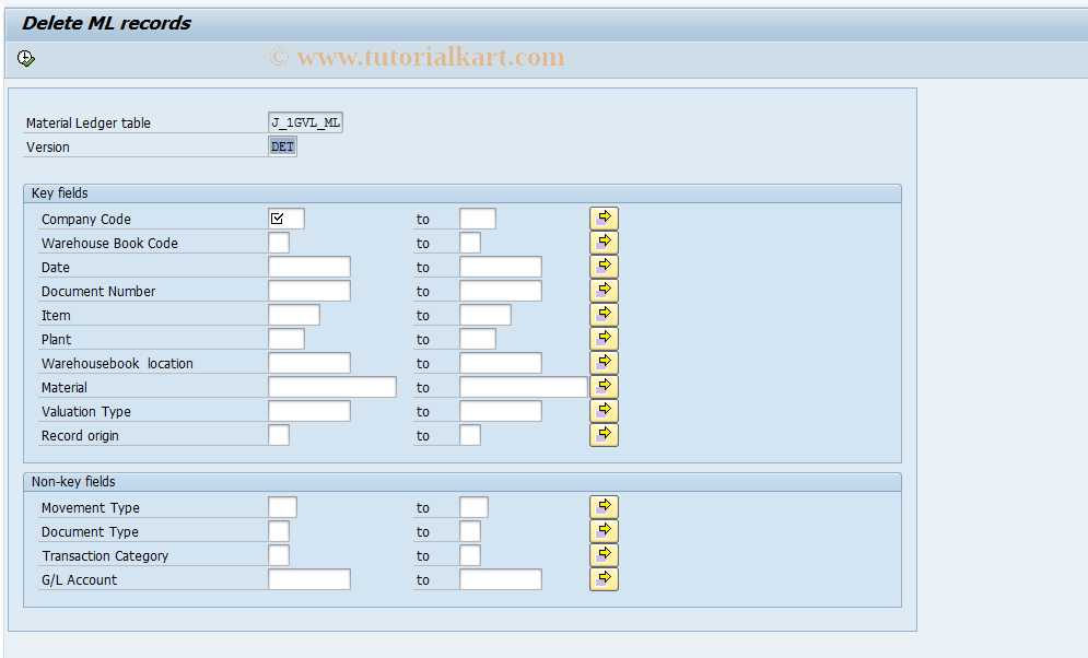 SAP TCode J1GVL_P07 - Delete online WHB records