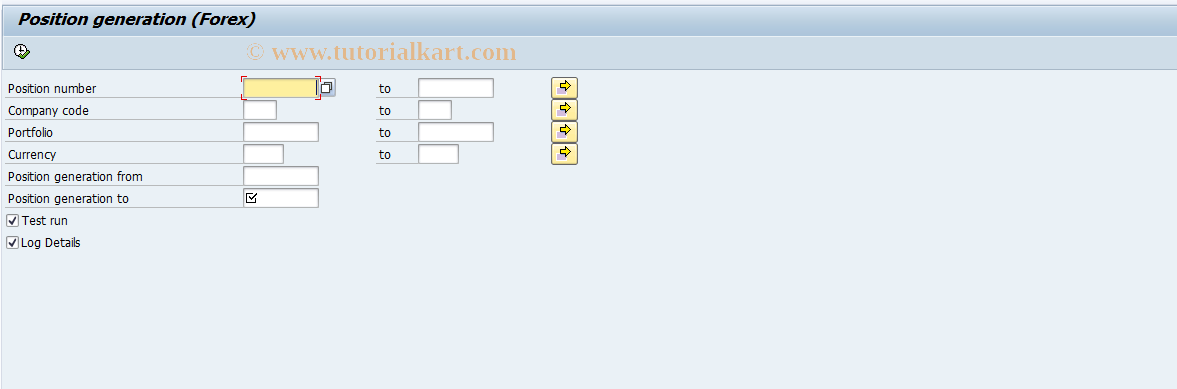 SAP TCode JBBD - Forex Position Determination