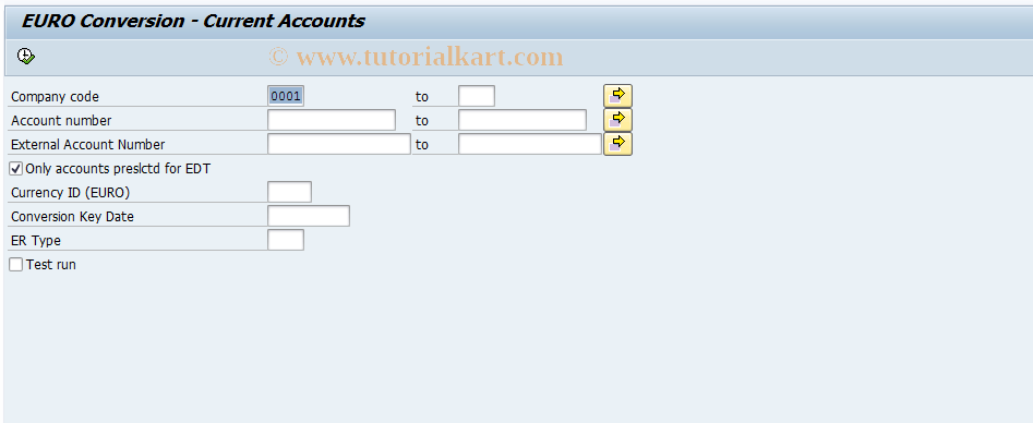 SAP TCode JBM5 - EURO Conversion: Current Accounts