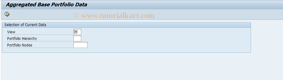 SAP TCode JBR9 - Report for Aggr. Base Portfolio Data