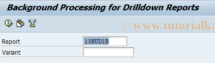 SAP TCode KKO8 - Background Processing of Reports