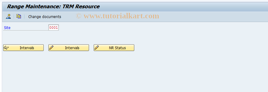 SAP TCode LNRRS - Number range maintenance: TRM_RSRC