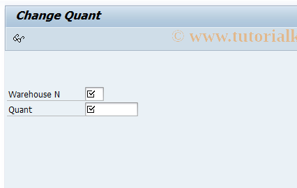 SAP TCode LS22 - Change Quants