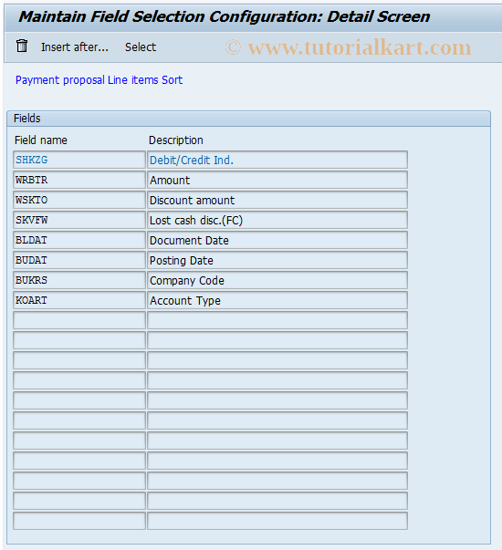 SAP TCode O7FD - Auto.Pymt Field.Sel.Sort Payment