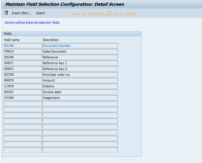 SAP TCode OBCV - C FI FAKP: T021R with SL-AX