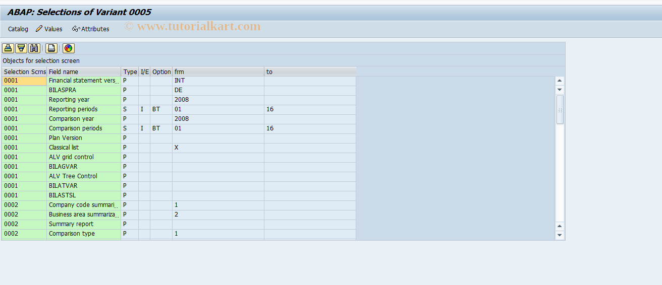 SAP TCode OBJ1 - C FI Year End Financial Statement