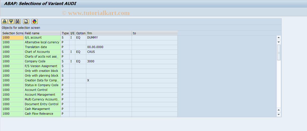 SAP TCode OBJ5 - C FI Year End G/L Account List