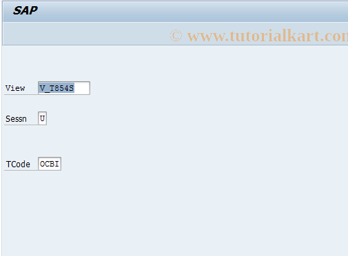 SAP TCode OCBI - C RF-KONS : Table T854S