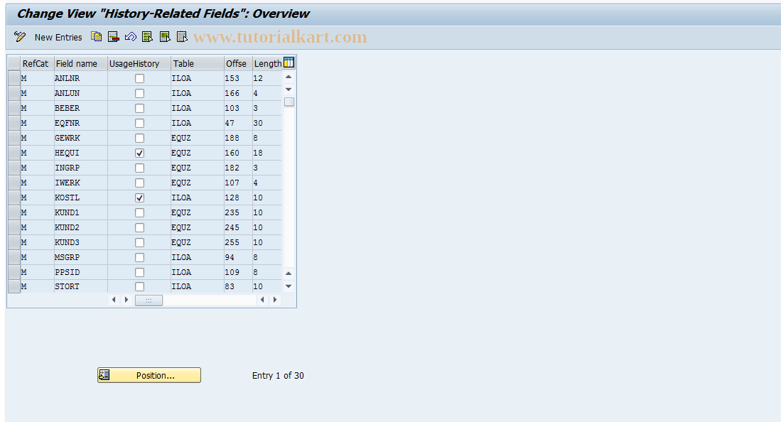 SAP TCode OIEZ - Insert Usage Period