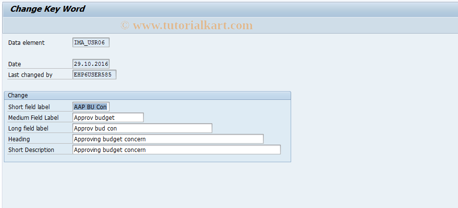 SAP TCode OITM7 - User name for user field 7
